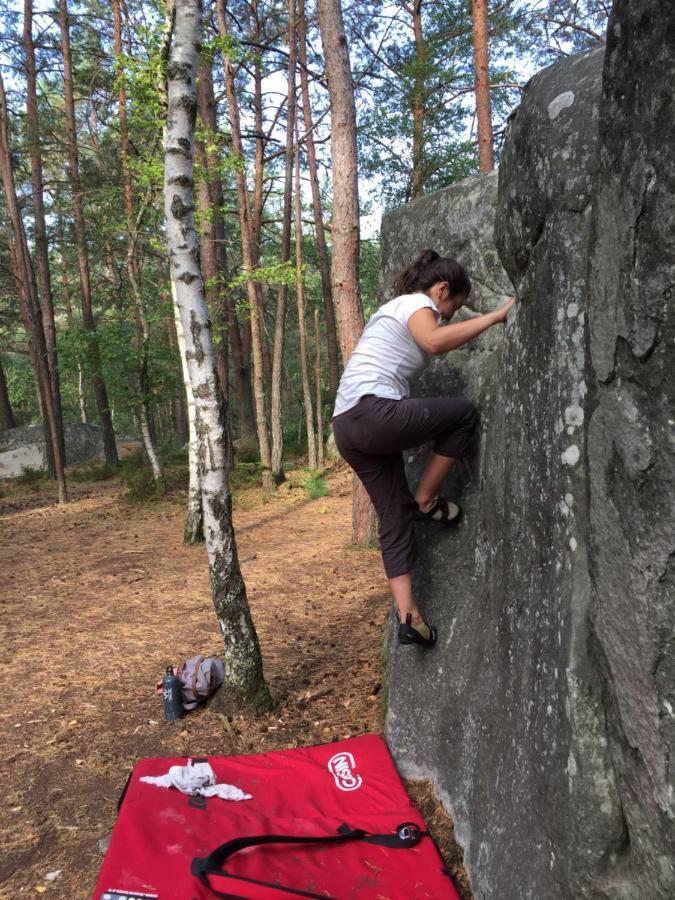 Grand Studio Pour Amoureux De La Nature Lägenhet Fontainebleau Exteriör bild